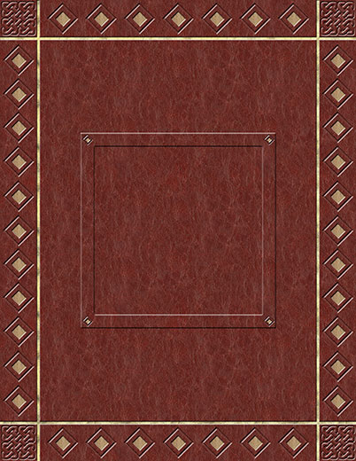 Book Cover 10 Solid